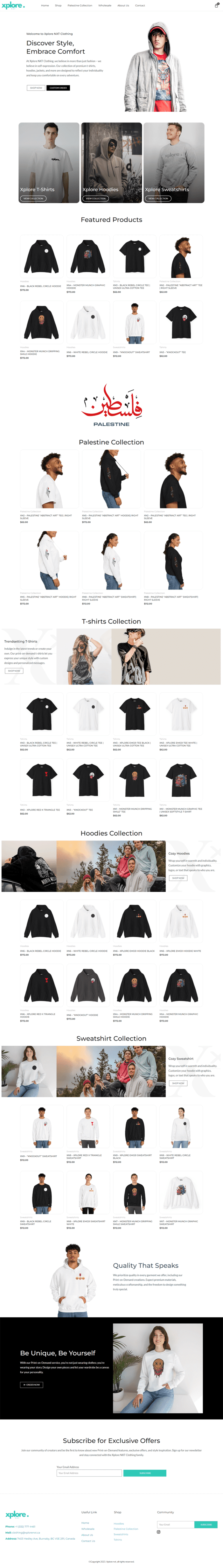 Web design company Portfolio 18